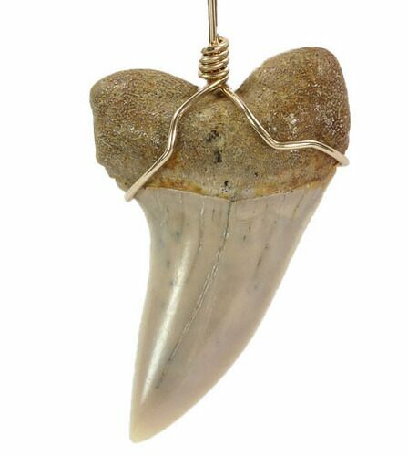Fossil Mako Tooth Necklace - Bakersfield, California #95249